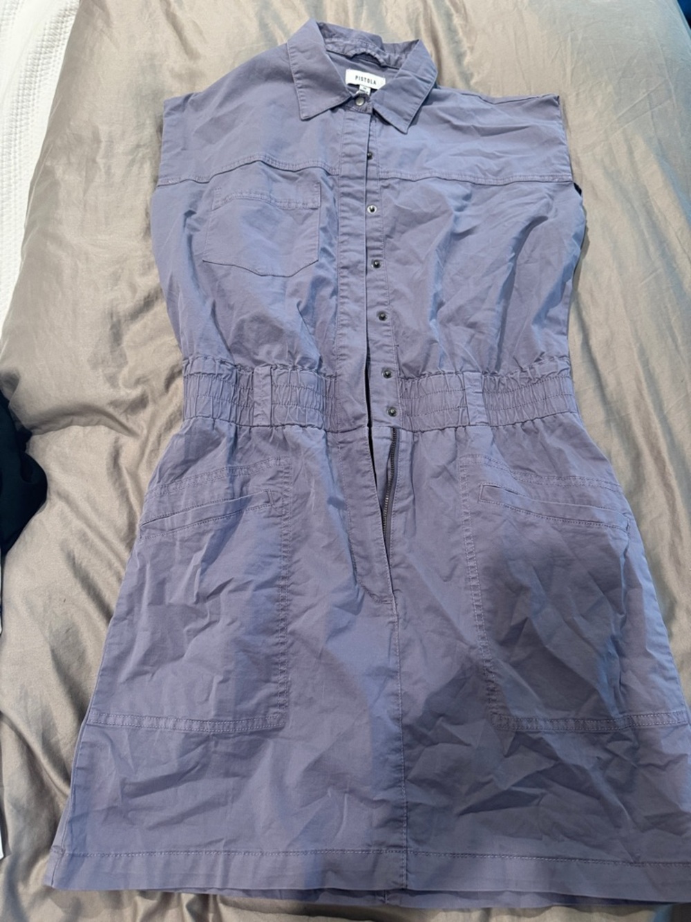 pistola Lavender Button-Front Mini Dress